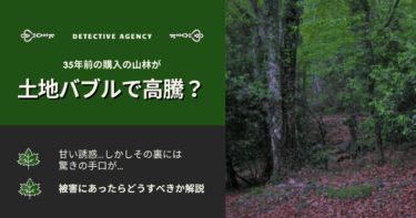 35年前購入の山林が土地バブルで高騰？業者に法律論で返り討ちにあった体験談