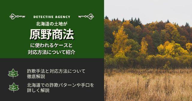 北海道の土地が原野商法に使われるケースと対応方法について紹介